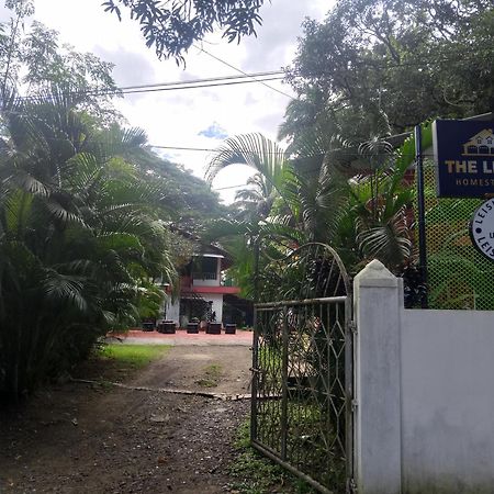 The Leisure Home Stay Shadipur Exterior photo